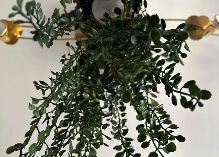 Completo En Apartament