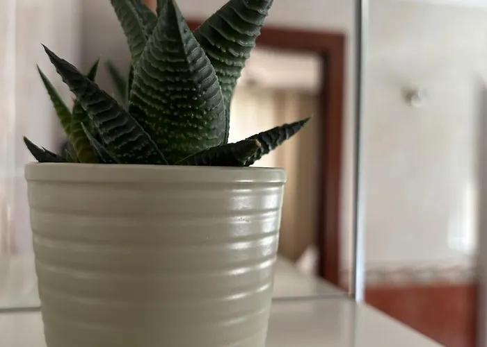 Completo En Apartament Gijón