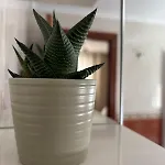Completo En Apartamento Gijón