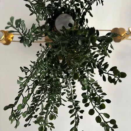 Completo En Apartmán