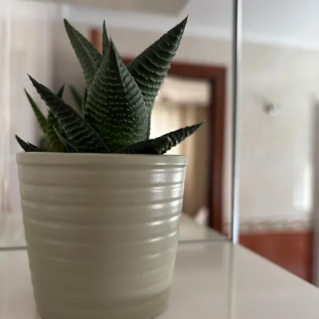 Completo En Apartment Gijón